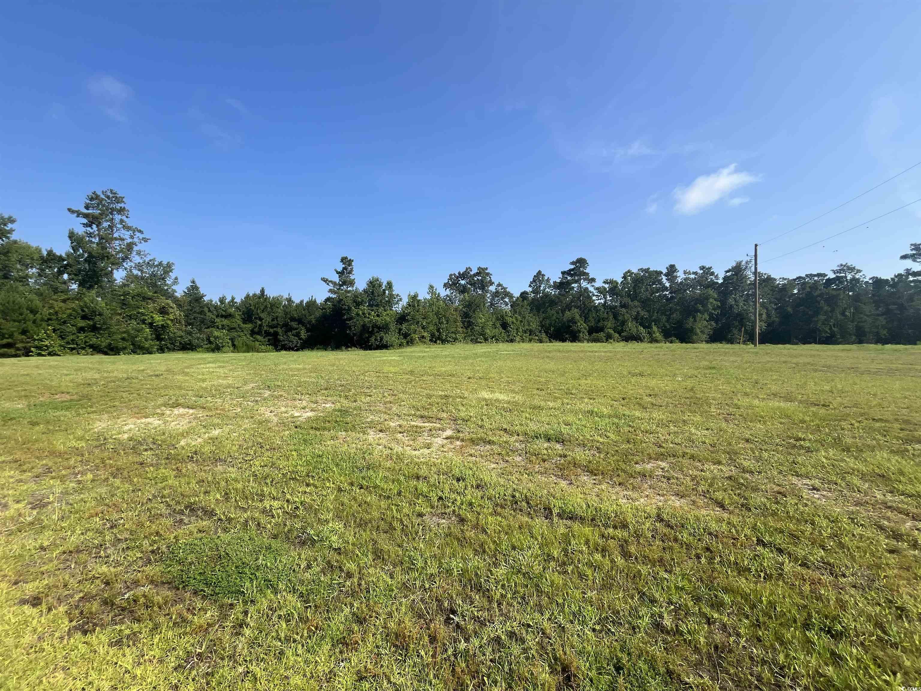 1168 St John Road Galivants Ferry, SC 29544 - Photo 15 of 15 View of wooded area with a view of countryside