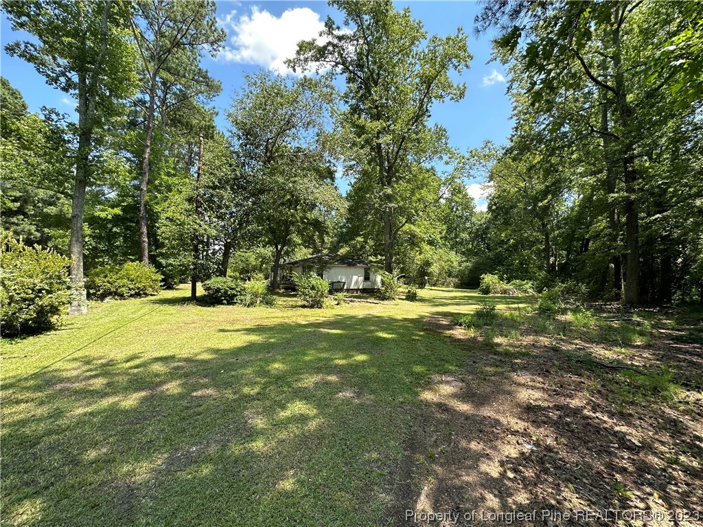 6682 Goldsboro Road Wade, NC 28395 - Photo 4 of 9 a view of a trees with a yard