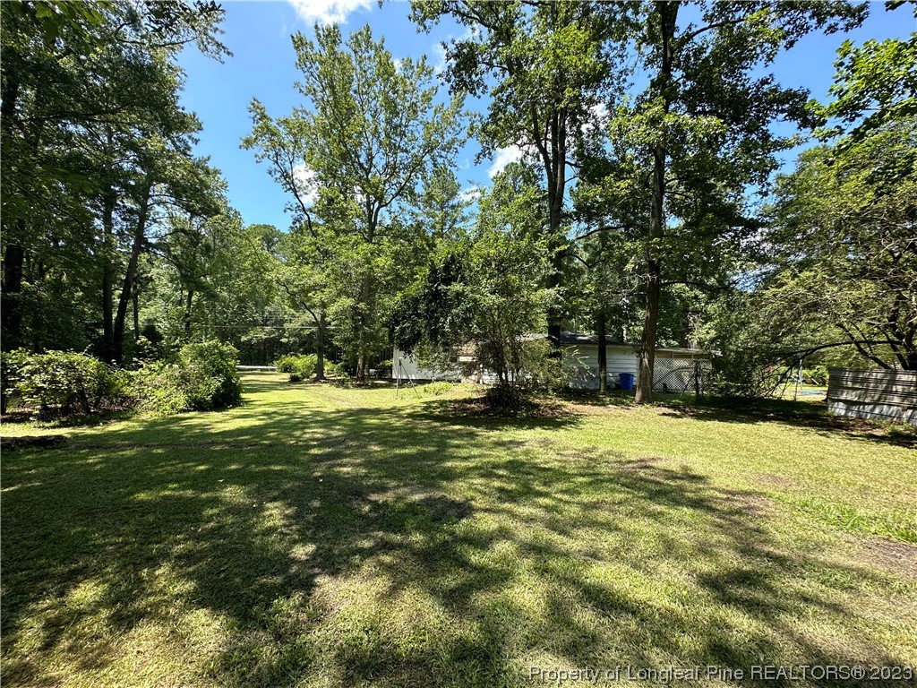 6682 Goldsboro Road Wade, NC 28395 - Photo 6 of 9 a swimming pool with trees in the background