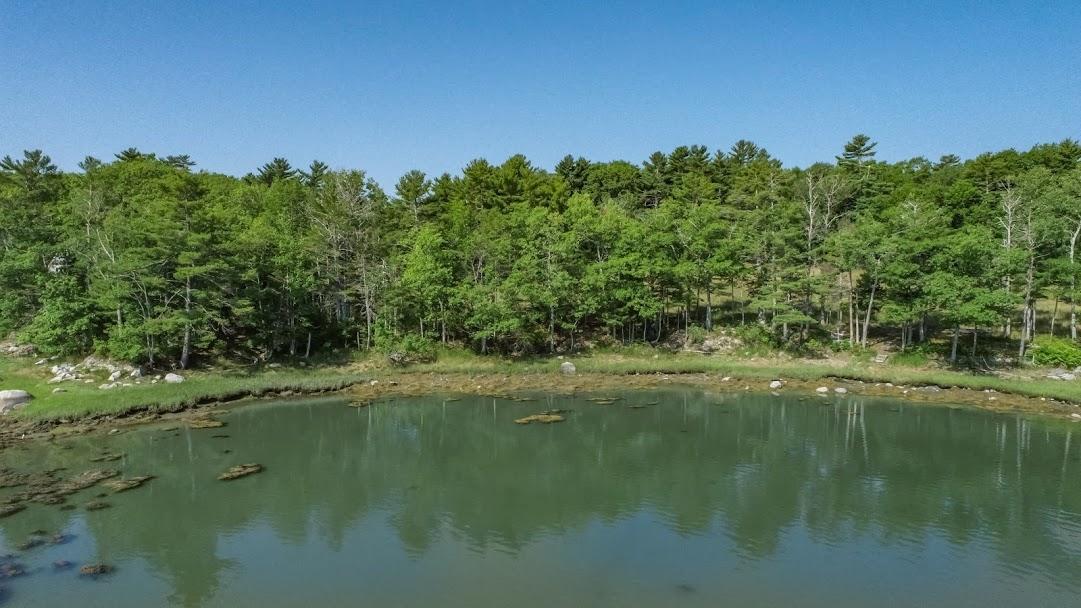 54 Dwelly Point Road Franklin, ME 04634 - Photo 5 of 30 54 Dwelley Point-2