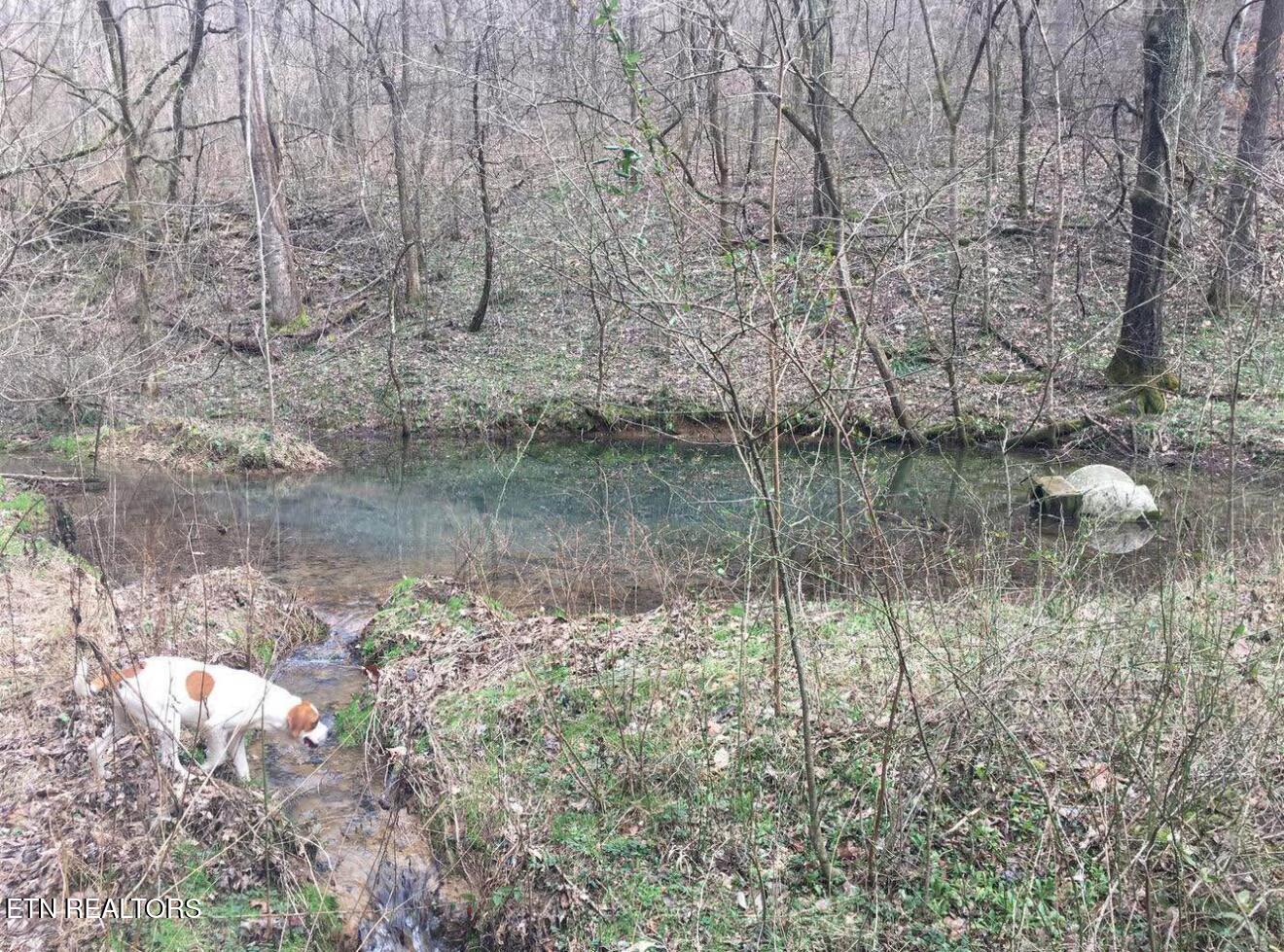 0 Shiloh Church Road Woodbury, TN 37190 - Photo 6 of 9 IMG_6751