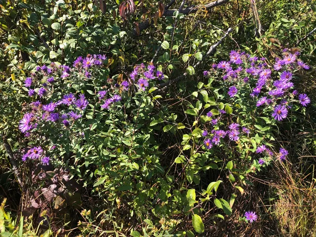 $550,000 | 14 Alexandra Drive, Libertyville, IL 60048