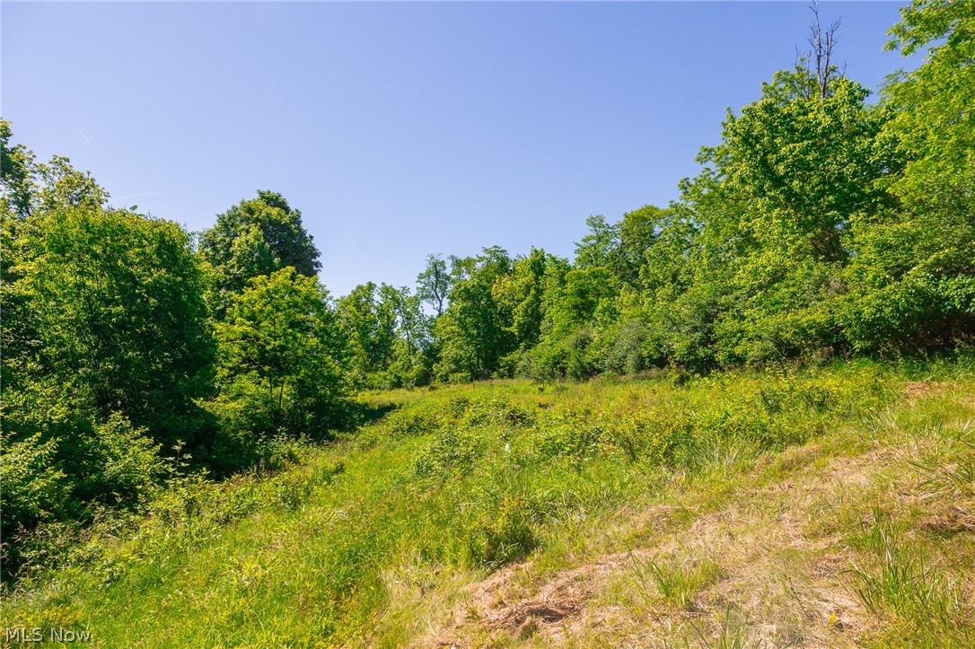 84143 Gilmore Ridge Road Cadiz, OH 43907 - Photo 10 of 32
