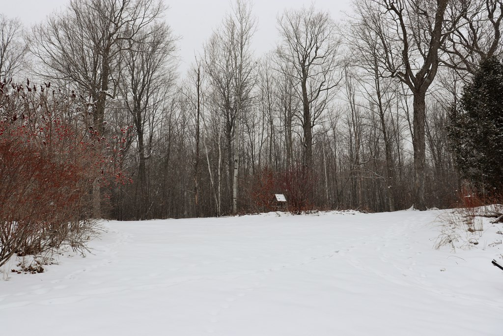 564 Spellman Road West Chazy, NY 12992 - Photo 15 of 16 Gallery Image 15