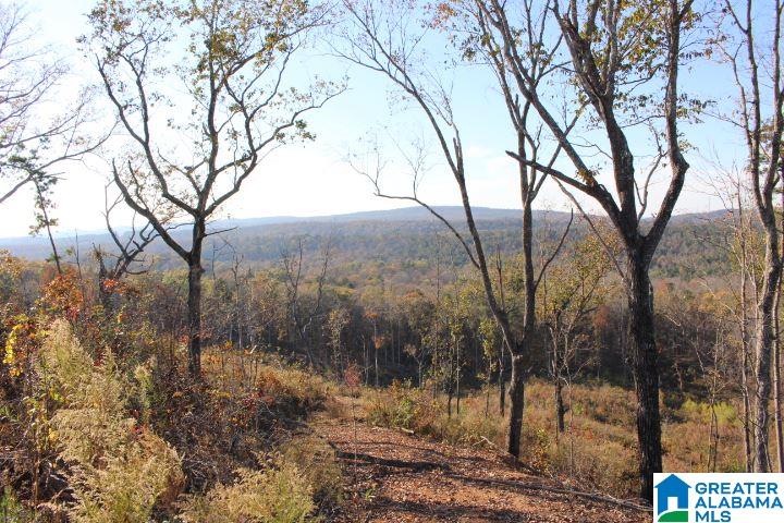0 Shaw Road, Unit 1 Pell City, AL 35128 - Photo 4 of 7