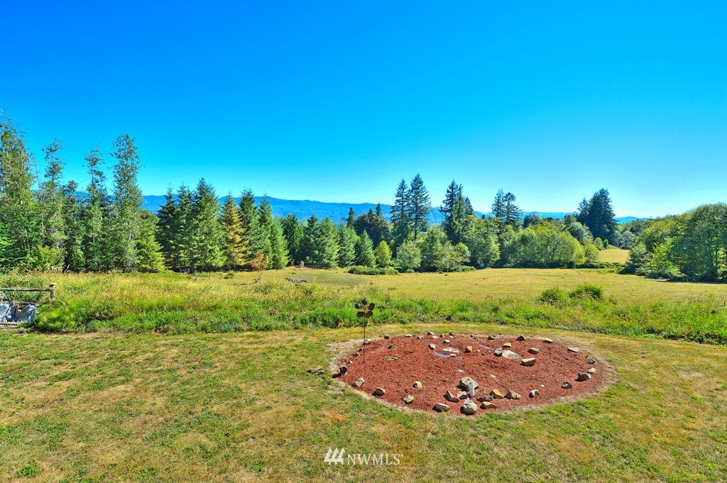 215 Bowen Road Mossyrock, WA 98564 - Photo 4 of 23 Gallery Image 4