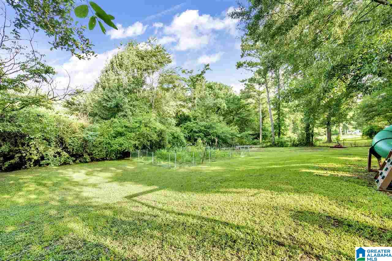 7420 Old Dixiana Road Pinson, AL 35126 - Photo 30 of 35