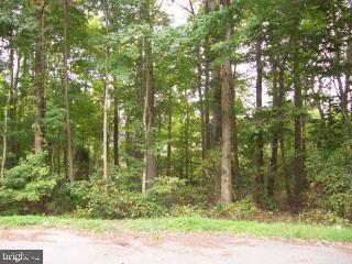 9003 Pitts Road Berlin, MD 21811 - Photo 1 of 3