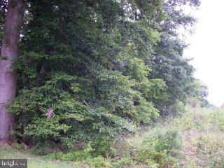 9003 Pitts Road Berlin, MD 21811 - Photo 2 of 3
