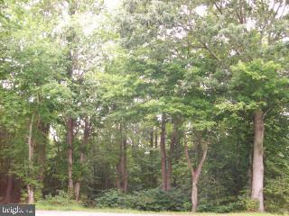 9003 Pitts Road Berlin, MD 21811 - Photo 3 of 3