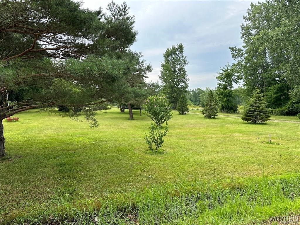5674 Chestnut Road Newfane, NY 14094 - Photo 1 of 1 Gallery Image 1