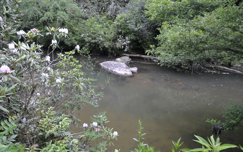 Main View