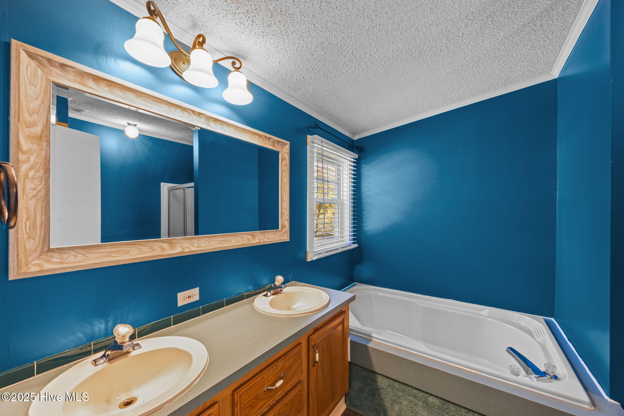 8820 River Road Grifton, NC 28530 - Photo 29 of 46 30-web-or-mls-0C0A5362