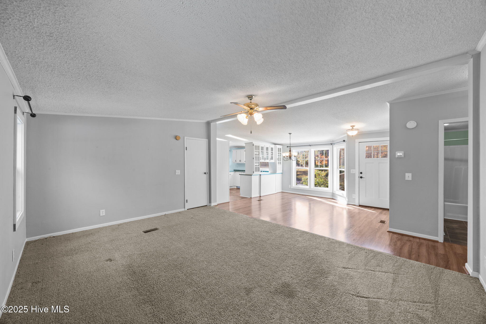8820 River Road Grifton, NC 28530 - Photo 7 of 46 7-web-or-mls-0C0A5293