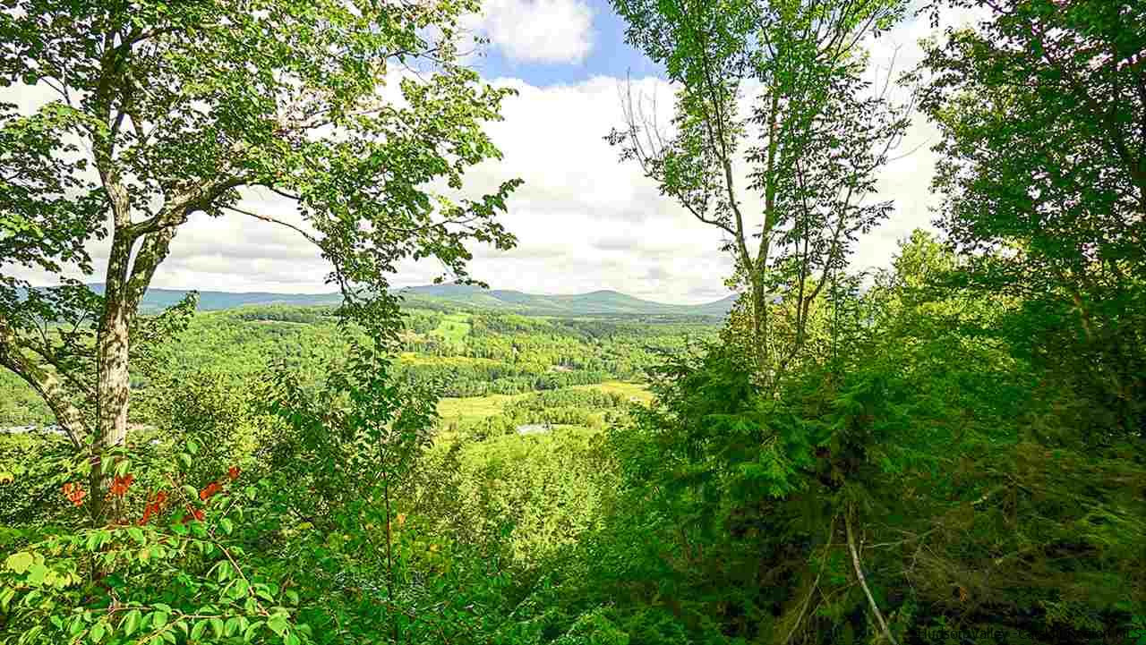 4 Loop End Windham, NY 12496 - Photo 3 of 33 Photo 3
