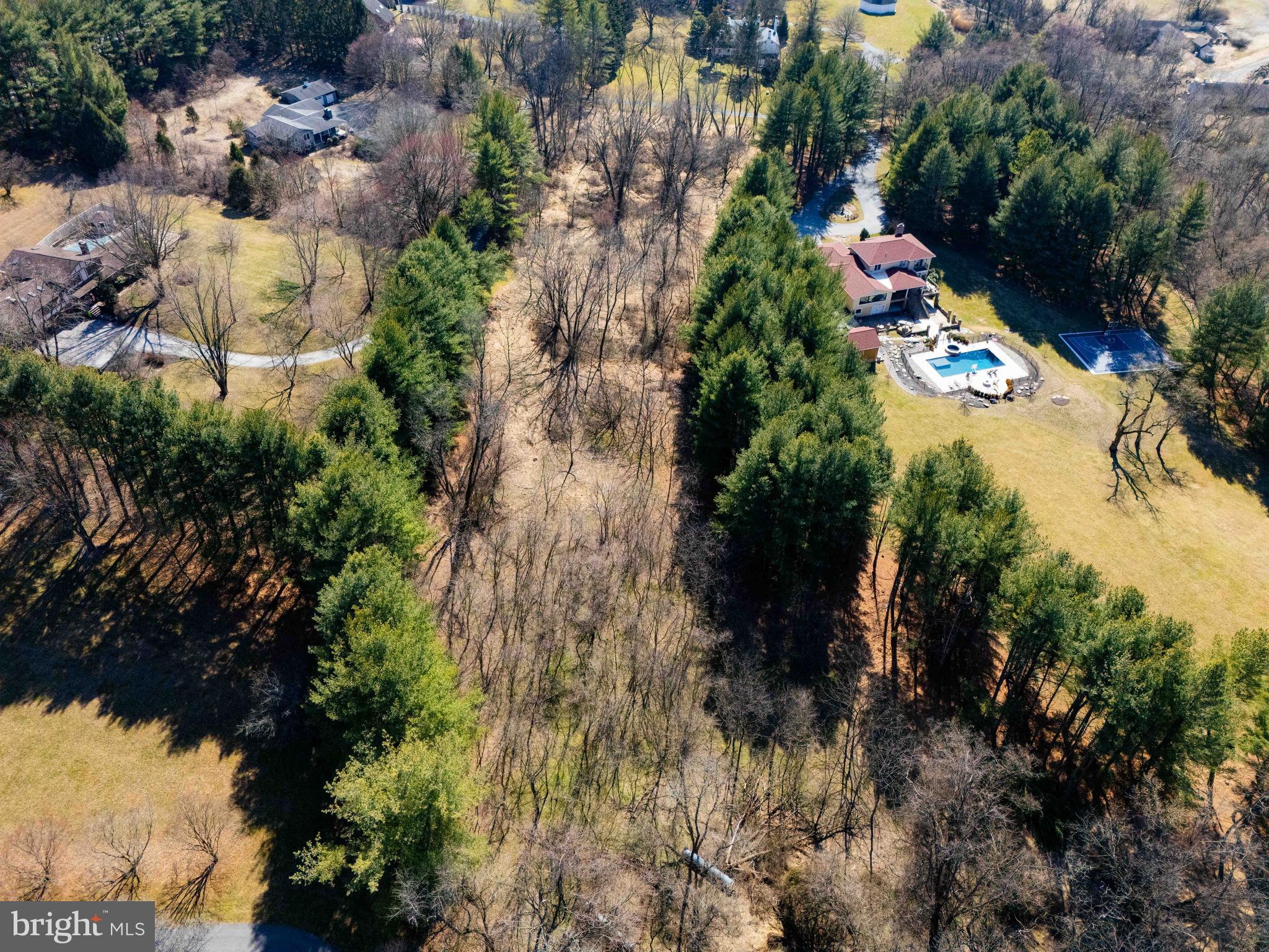 a view of a garden with plants