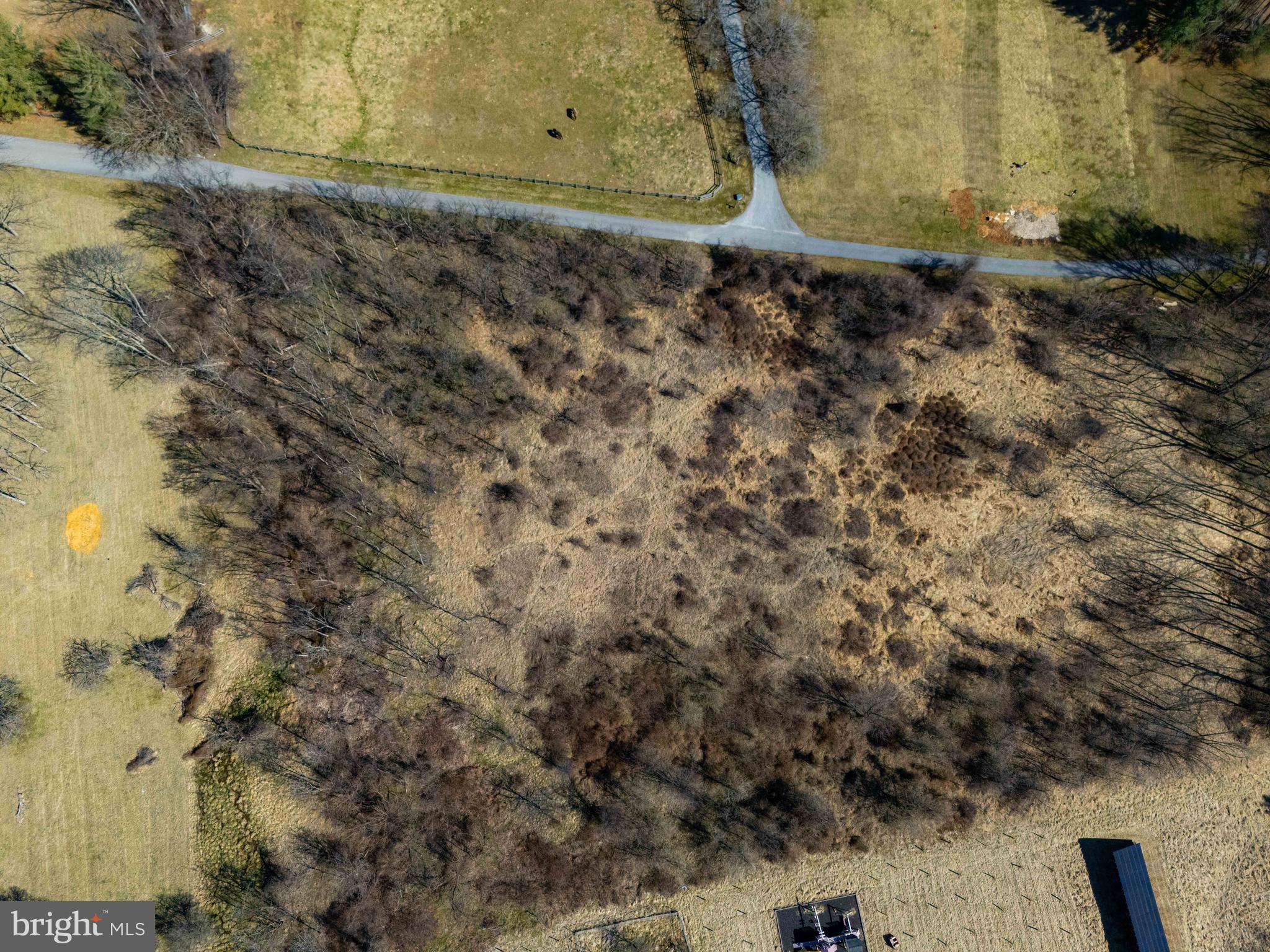 6031 Glen Arm Road East Glen Arm, MD 21057 - Photo 14 of 18 a view of a yard