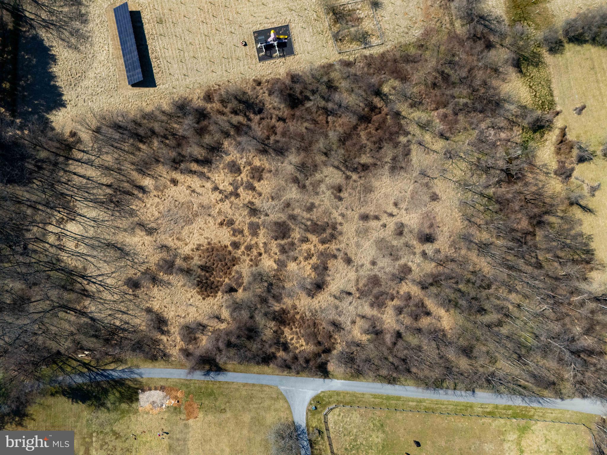 6031 Glen Arm Road East Glen Arm, MD 21057 - Photo 16 of 18 a view of a swimming pool with a yard