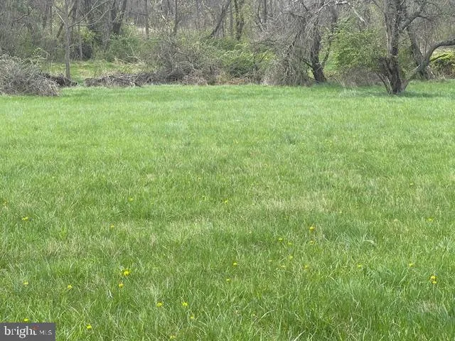 a view of a grassy field with trees