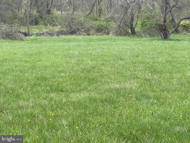 6031 Glen Arm Road East Glen Arm, MD 21057 - Photo 8 of 18 a view of a grassy field with trees