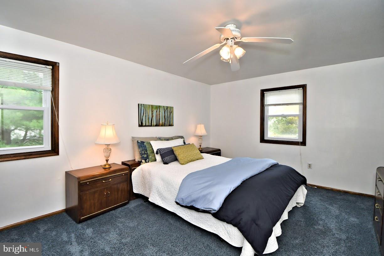 700 Park Road Lansdale, PA 19446 - Photo 48 of 101 Lighted Ceiling Fan - 2 windows