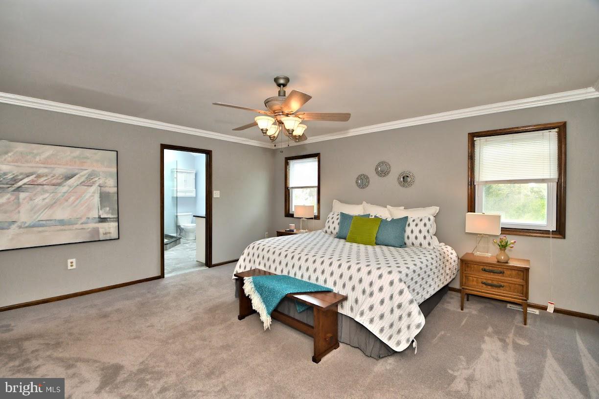 700 Park Road Lansdale, PA 19446 - Photo 56 of 101 Lighted Ceiling Fan