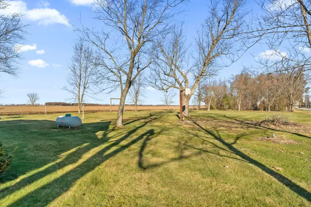 a view of yard with trees