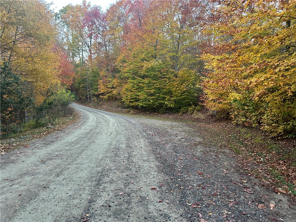 Tbd Lot 48 Tbd Ridge Zionville, NC 28698 - Photo 11 of 18 a view of a forest with trees in the background
