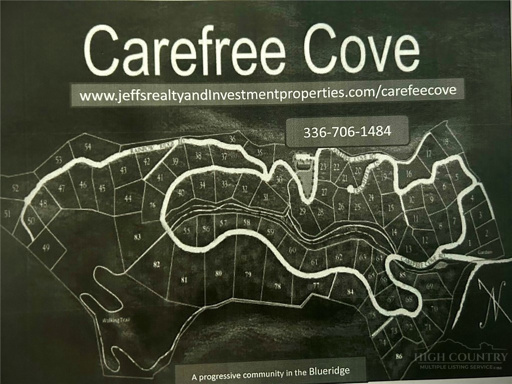 Tbd Lot 48 Tbd Ridge Zionville, NC 28698 - Photo 14 of 18