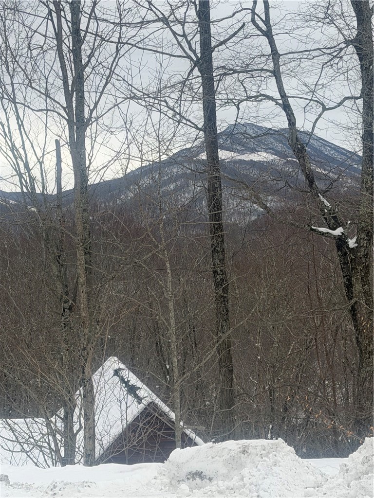 Tbd Lot 48 Tbd Ridge Zionville, NC 28698 - Photo 15 of 18 a view of a yard