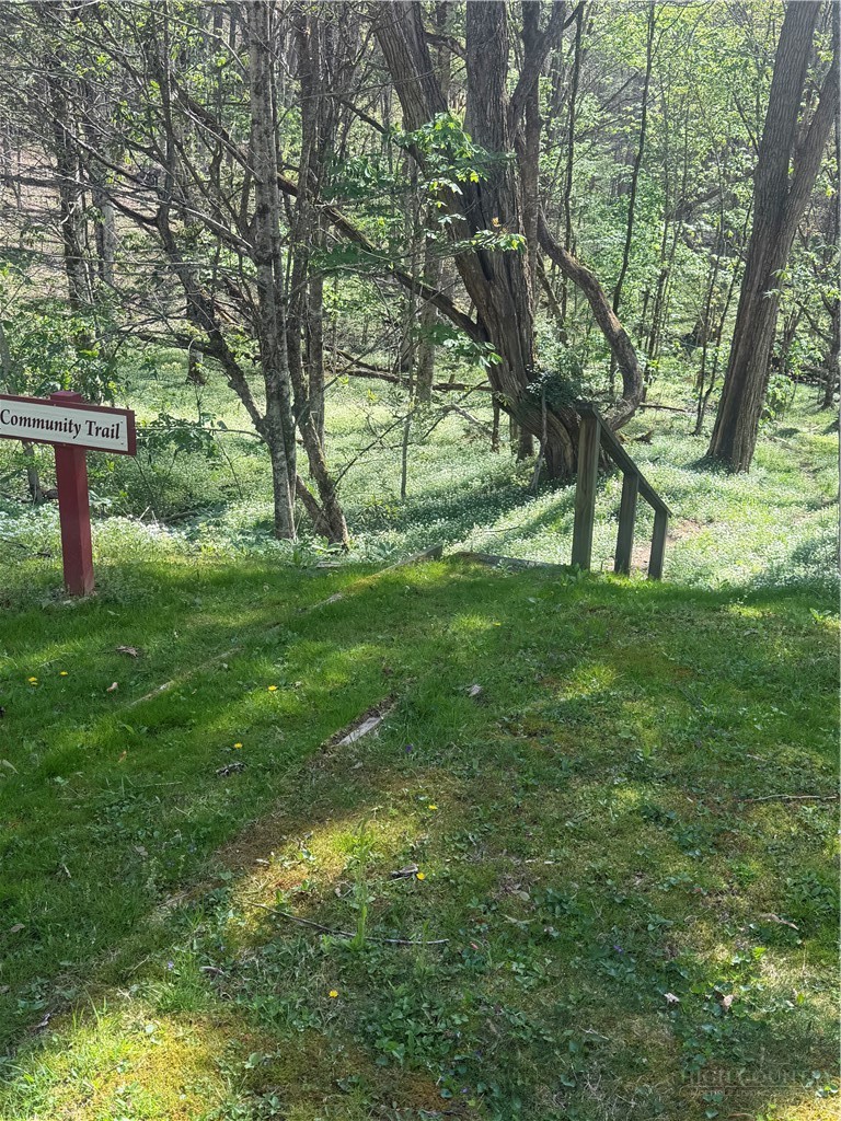Tbd Lot 48 Tbd Ridge Zionville, NC 28698 - Photo 17 of 18 a view of garden with trees