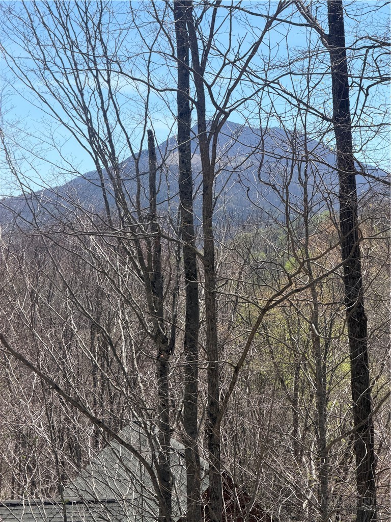 Tbd Lot 48 Tbd Ridge Zionville, NC 28698 - Photo 18 of 18 a view of a forest with lots of trees