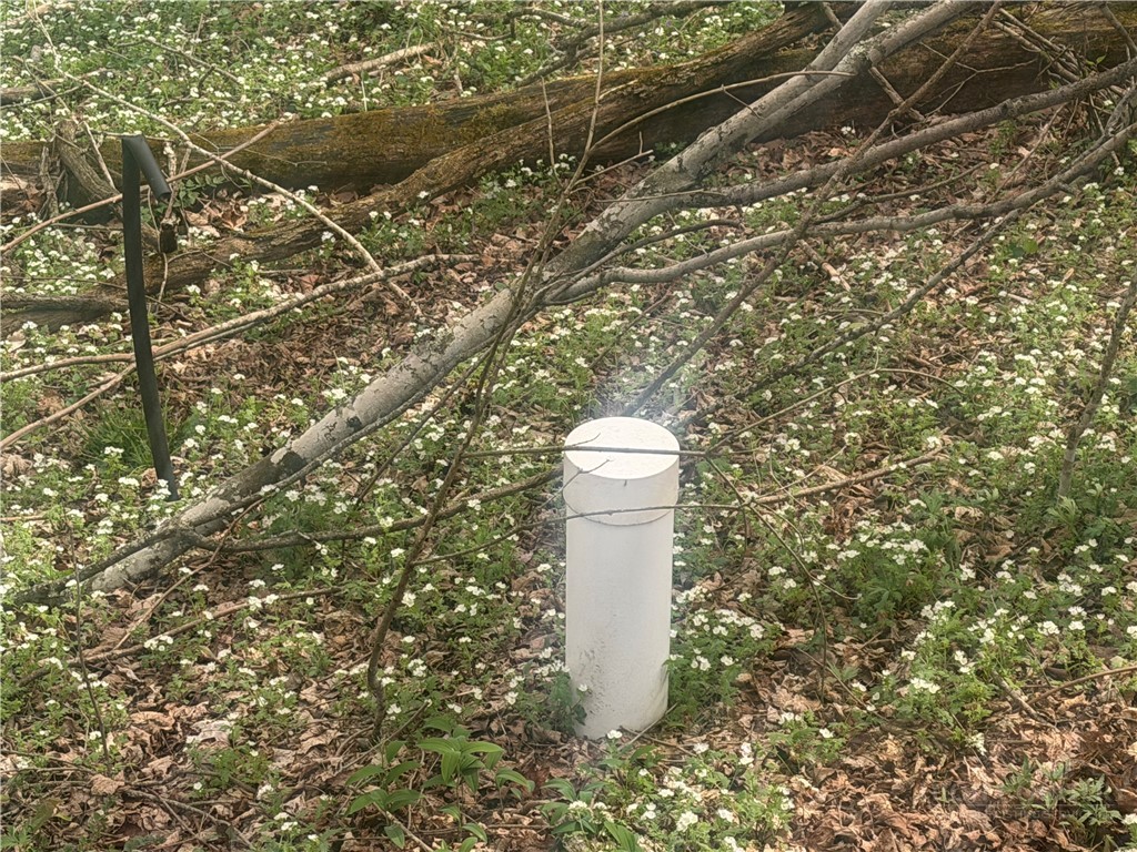 Tbd Lot 48 Tbd Ridge Zionville, NC 28698 - Photo 2 of 18 a coffee table with wooden floor and toilet