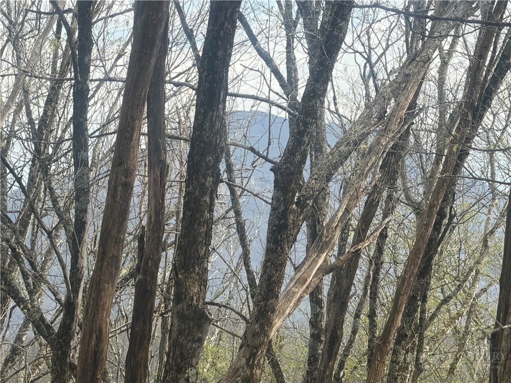 Tbd Lot 48 Tbd Ridge Zionville, NC 28698 - Photo 4 of 18 a view of trees in between the two trees