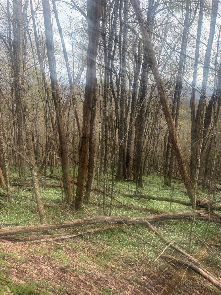 Tbd Lot 48 Tbd Ridge Zionville, NC 28698 - Photo 5 of 18 a backyard of a house with lots of green space