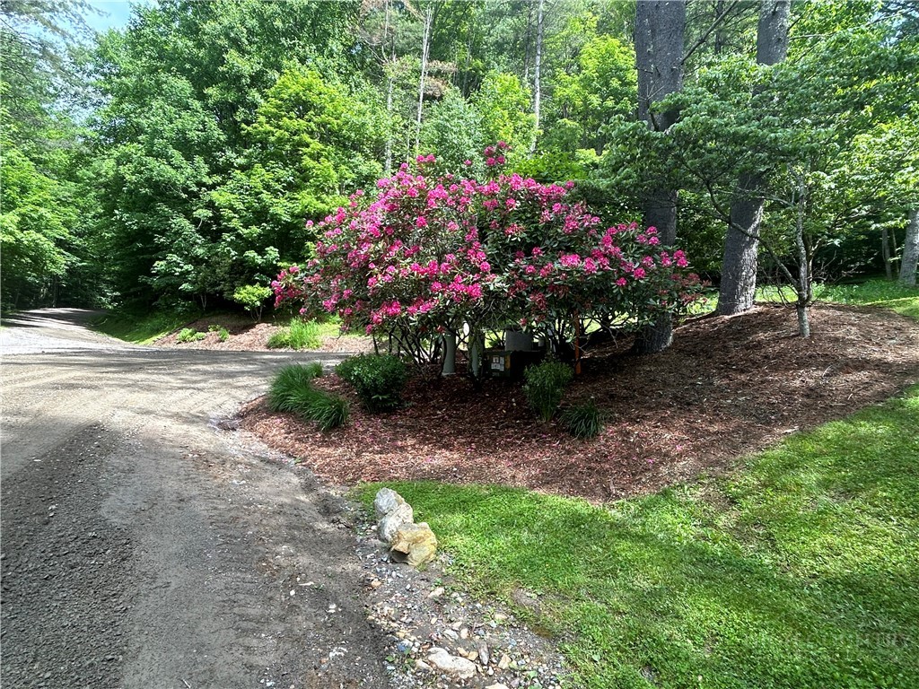 Tbd Lot 48 Tbd Ridge Zionville, NC 28698 - Photo 8 of 18 a small garden covered with tall trees