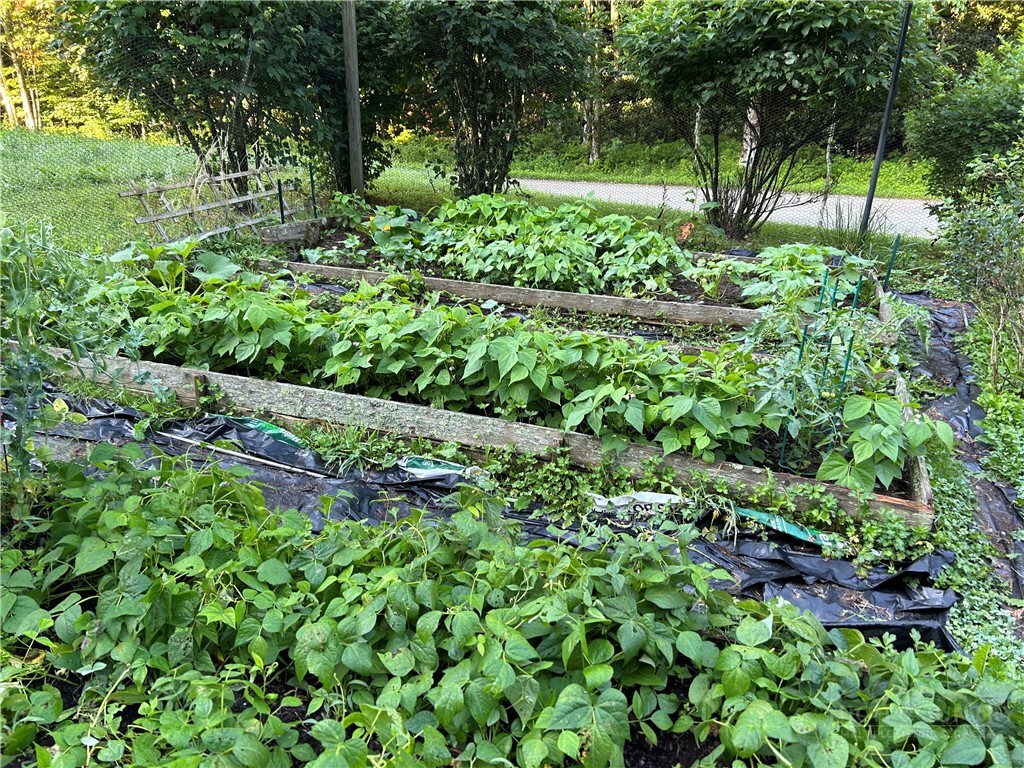 Tbd Lot 48 Tbd Ridge Zionville, NC 28698 - Photo 9 of 18 a view of a garden with plants and a bench
