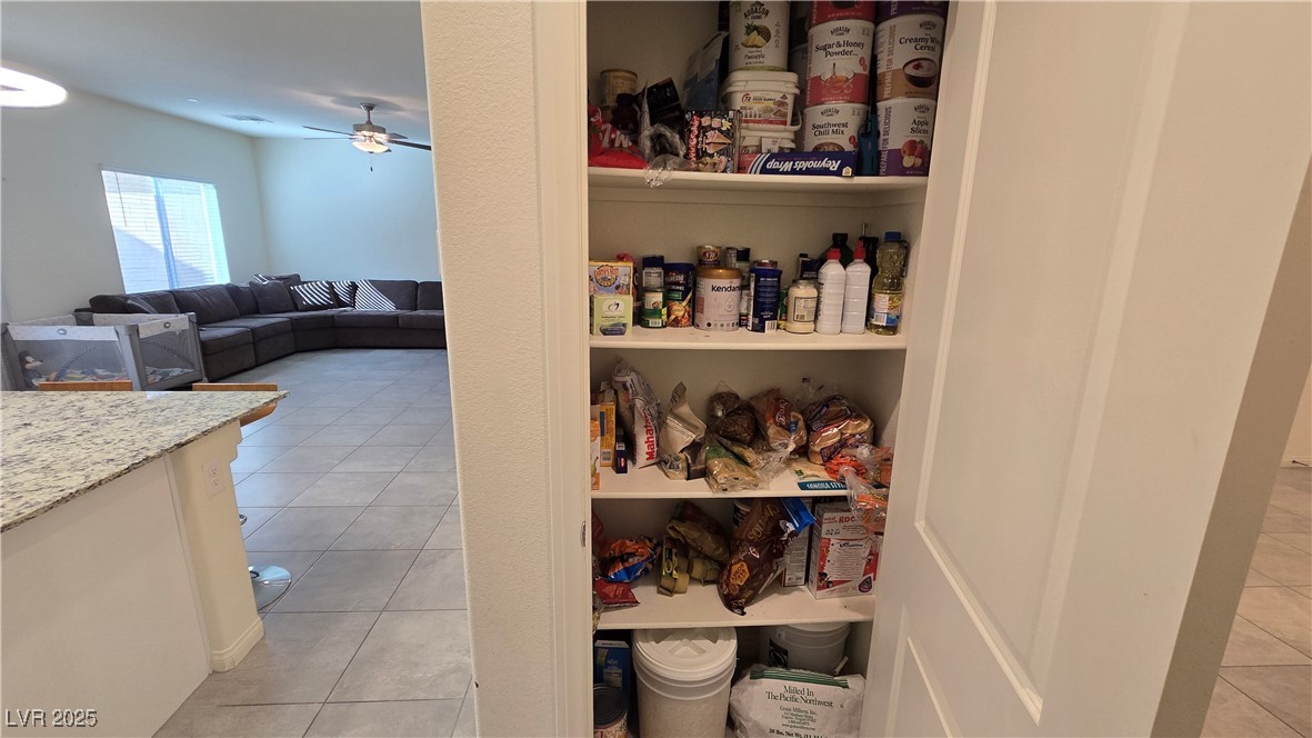 10971 Meridian Fields Avenue Las Vegas, NV 89166 - Photo 20 of 66 View of pantry