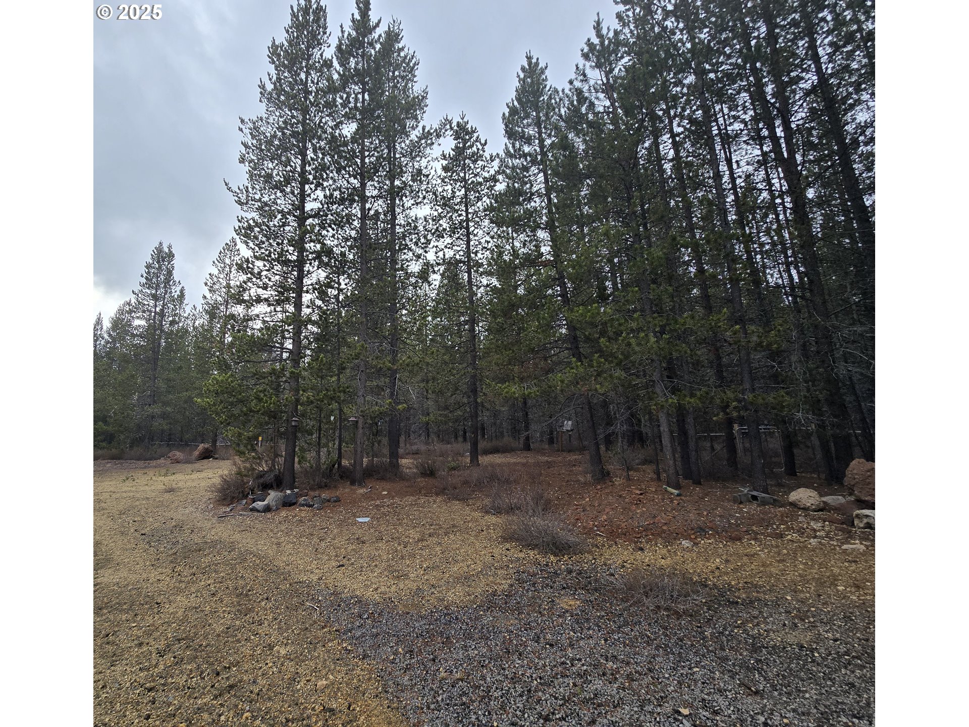 125220 Cappy Court Crescent Lake, OR 97733 - Photo 27 of 34 a view of outdoor space with trees
