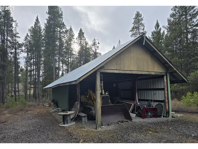 a view of a forest with trees in the background