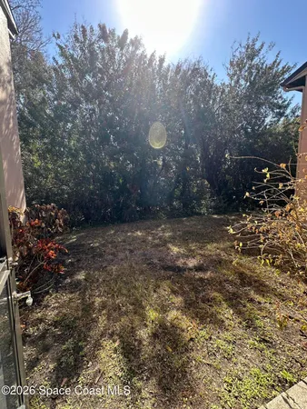 a view of a yard with trees