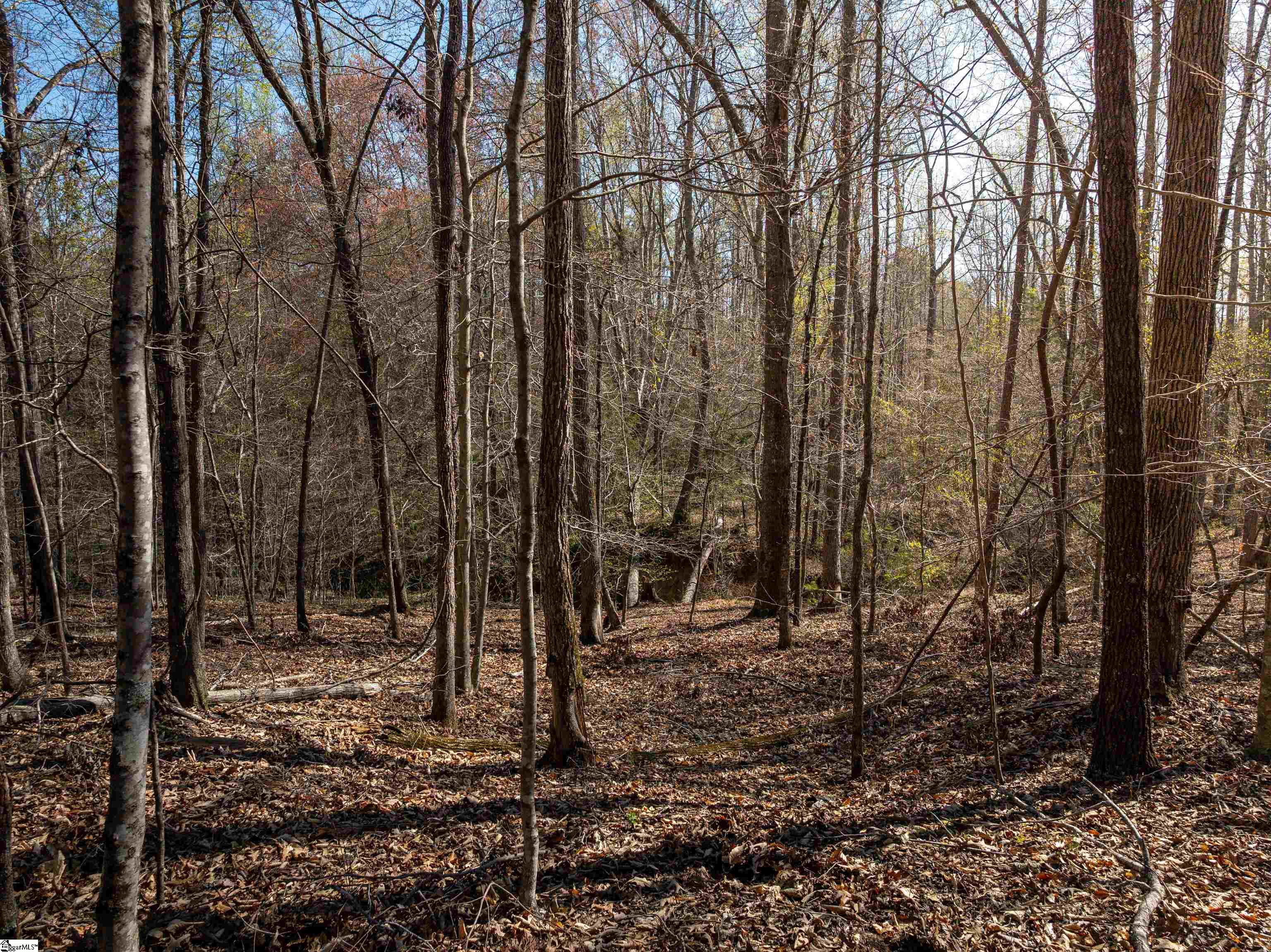 0 Ridge Road Enoree, SC 29335 - Photo 23 of 30 Gallery Image 23