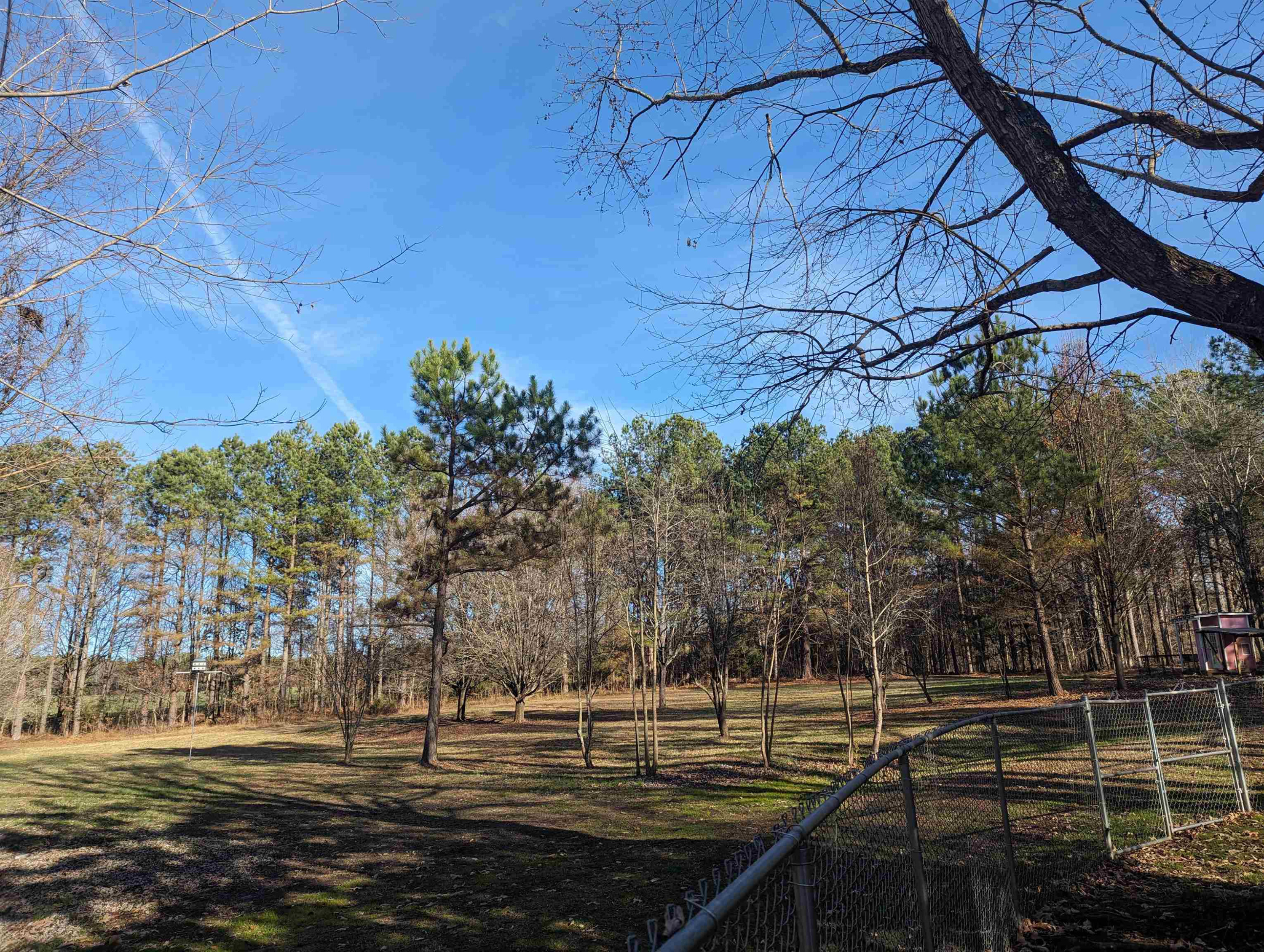 331 Doak Mason Road Jackson, TN 38305 - Photo 23 of 36 Photo 23