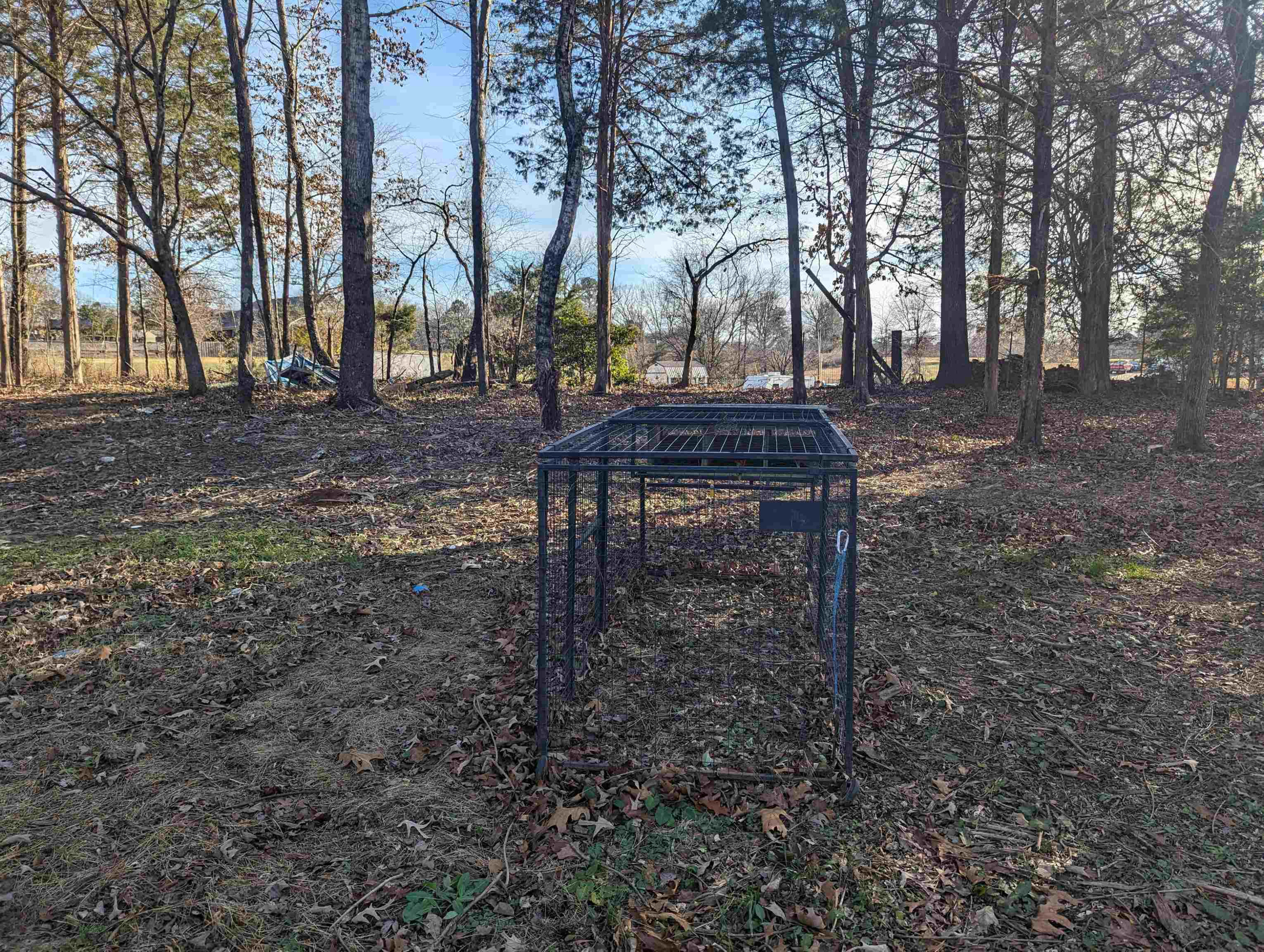 331 Doak Mason Road Jackson, TN 38305 - Photo 31 of 36 Photo 32
