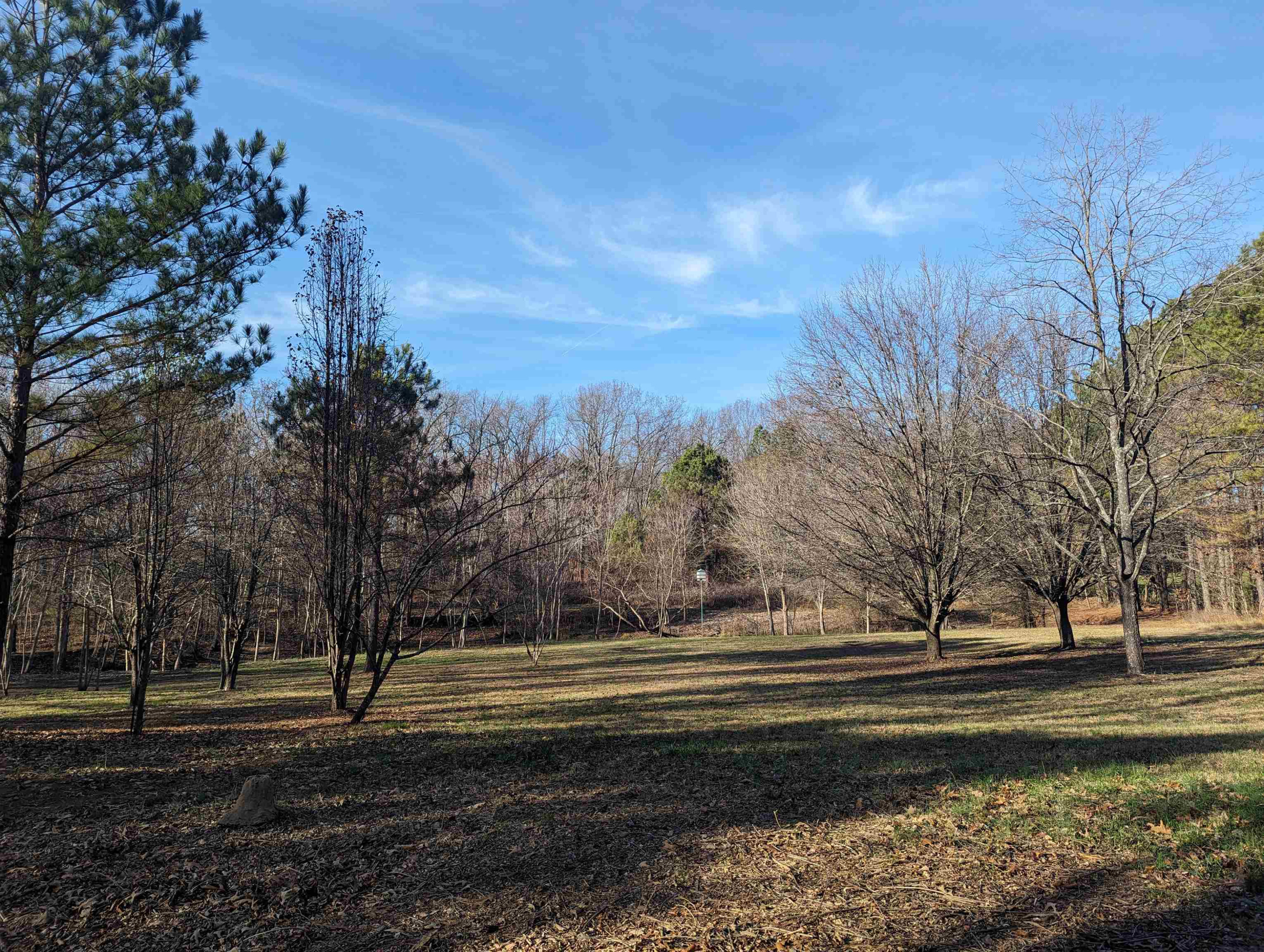 331 Doak Mason Road Jackson, TN 38305 - Photo 32 of 36 Photo 33