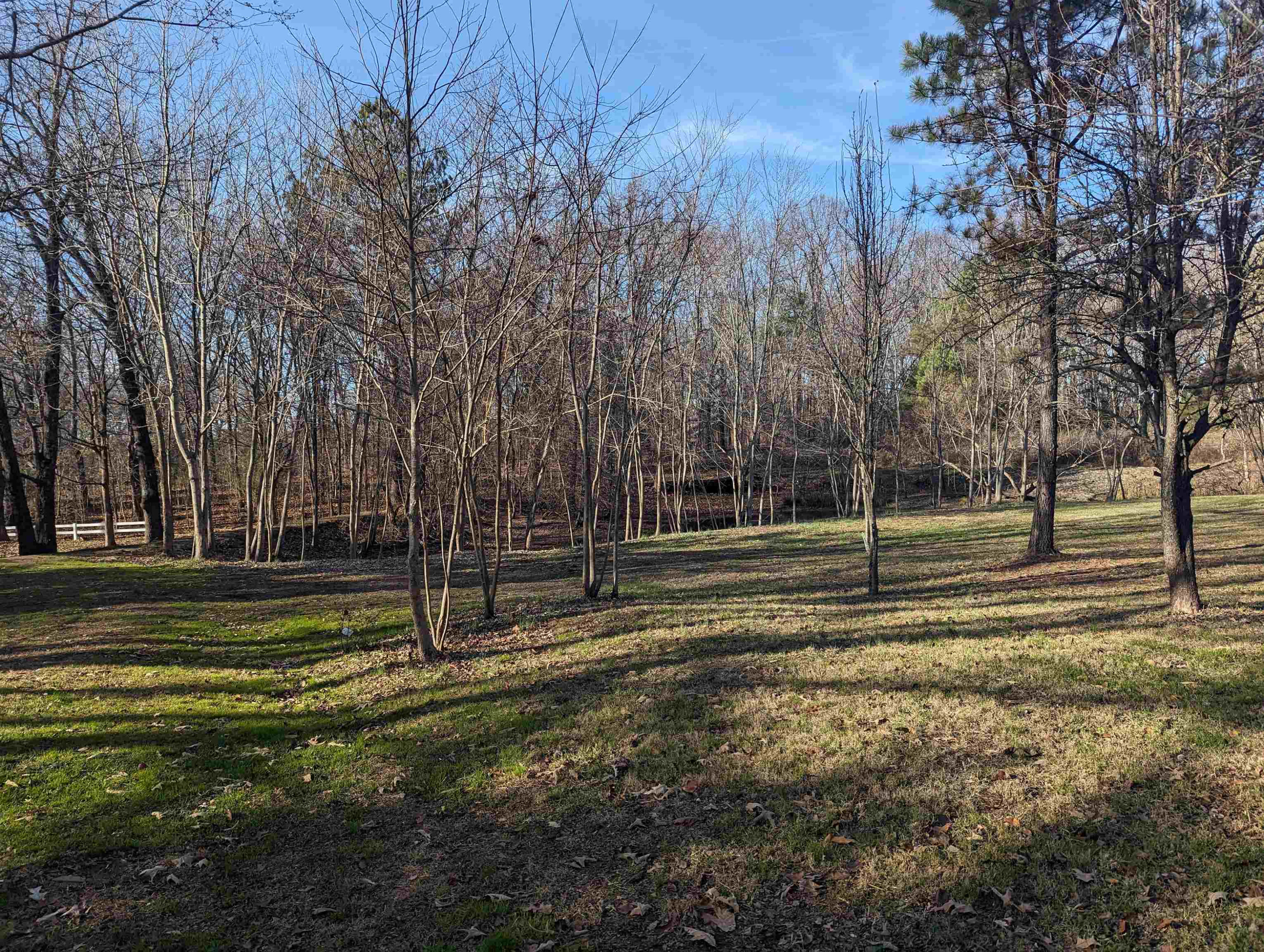 331 Doak Mason Road Jackson, TN 38305 - Photo 33 of 36 Photo 35