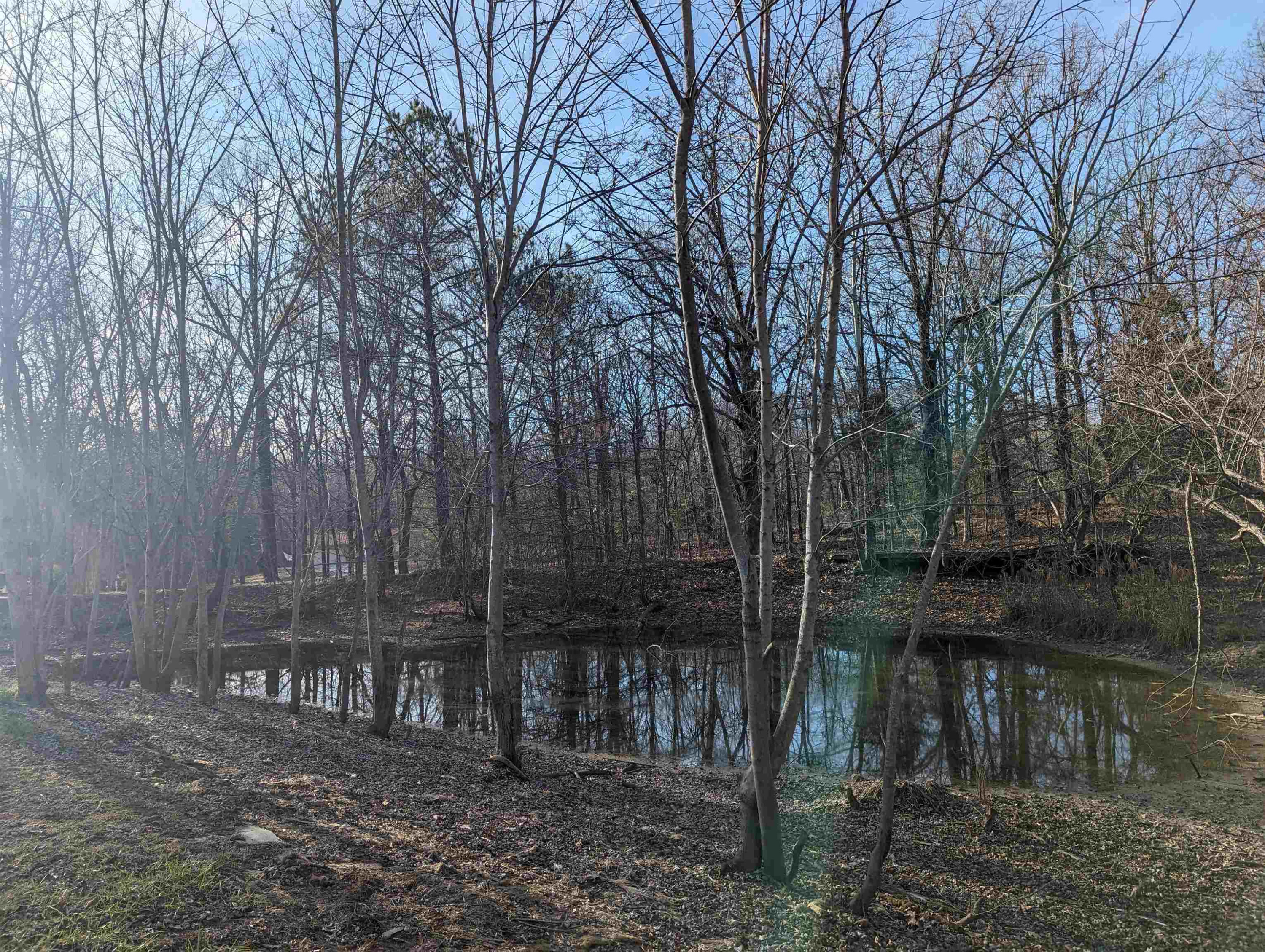 331 Doak Mason Road Jackson, TN 38305 - Photo 34 of 36 Photo 36