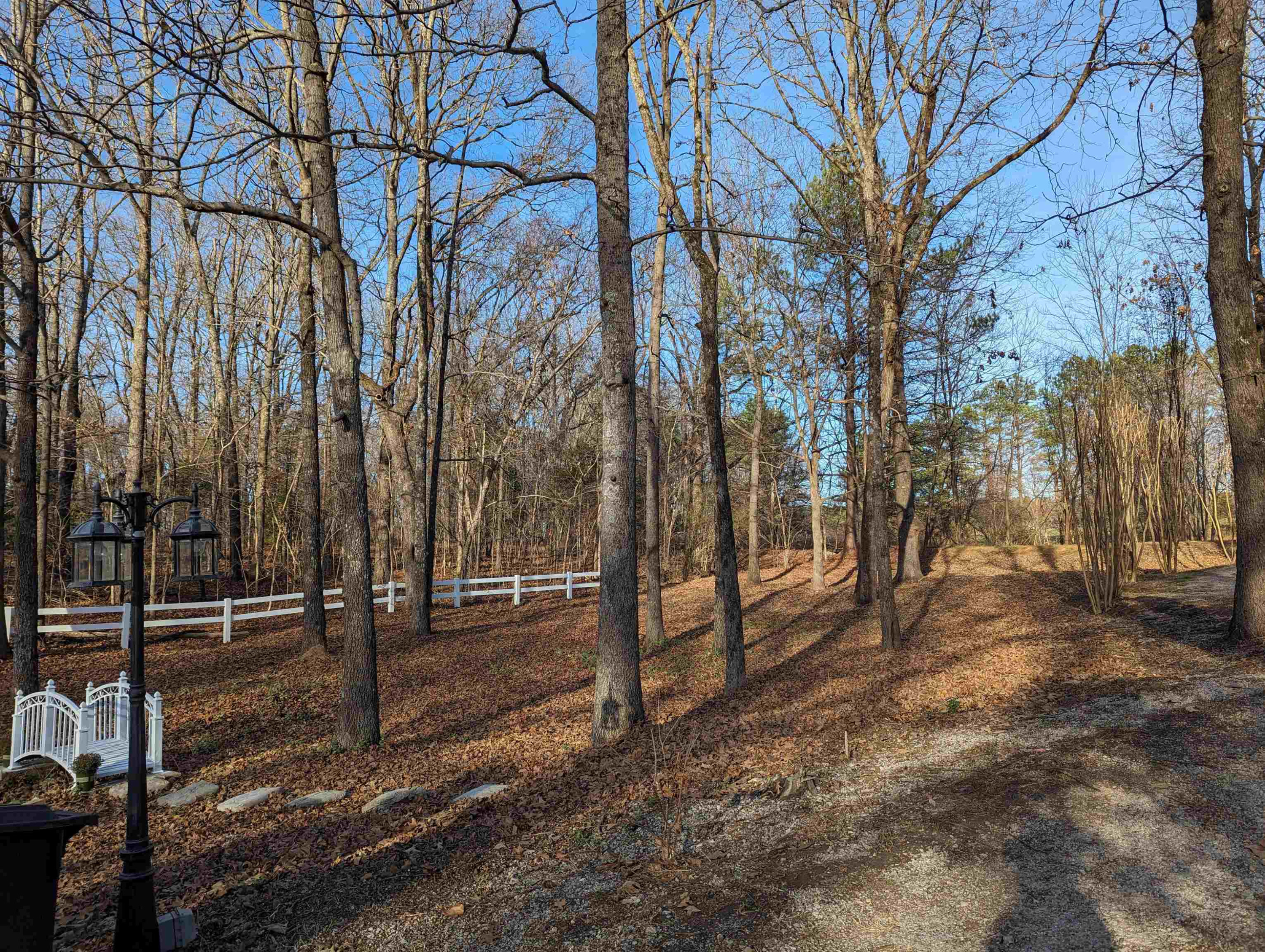 331 Doak Mason Road Jackson, TN 38305 - Photo 36 of 36 Photo 38