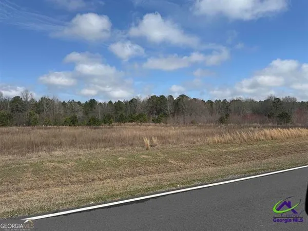 $74,851 | 0 Whitfield Road, Elko, GA 31025