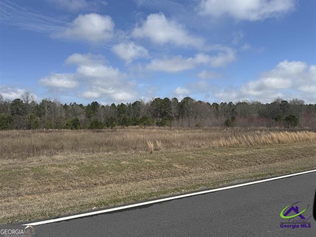 0 Whitfield Road Elko, GA 31025 - Photo 1 of 1